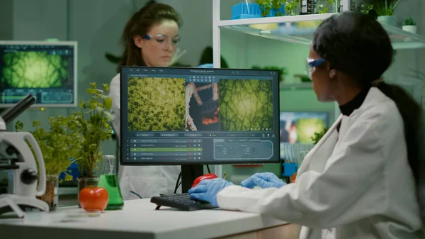 Scientist woman typing microbiology expertise on computer — Stock Photo, Image