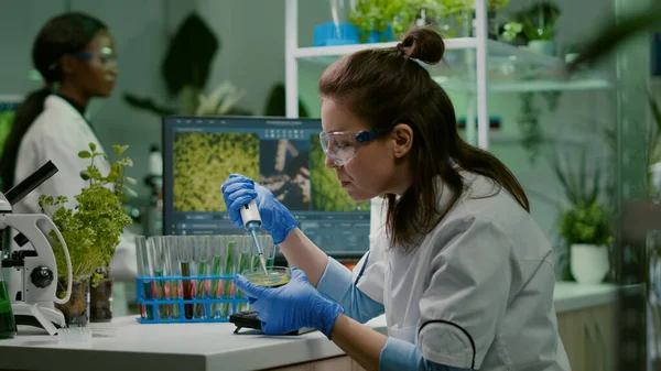 Mujer química que toma el líquido de ADN del tubo de ensayo con micropipeta —  Fotos de Stock