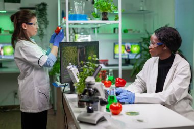 Biyoloji araştırmacısı bilgisayarda gmo uzmanlığı yazıyor.