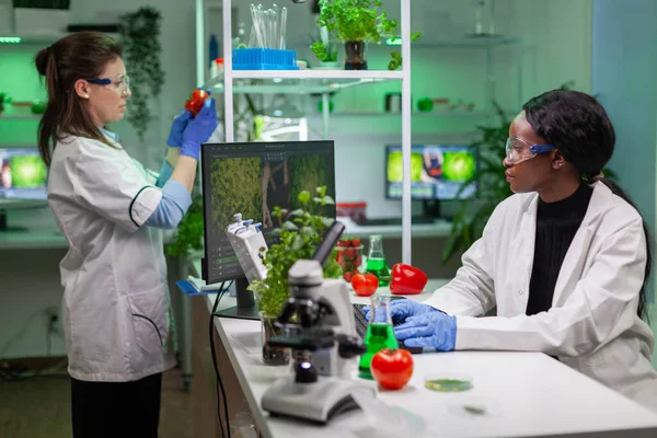 Biologist researcher typing gmo expertise on computer — Stock Photo, Image