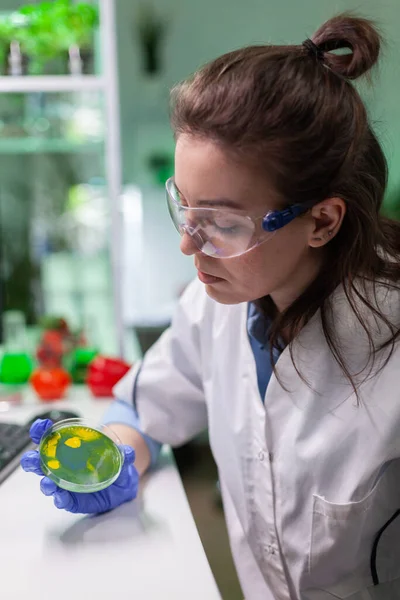 Pharmaceutical researcher analyzing solution test from petri dish — Stock Photo, Image