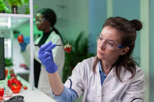 Científico químico comprobando fresa usando pinzas médicas — Foto de Stock