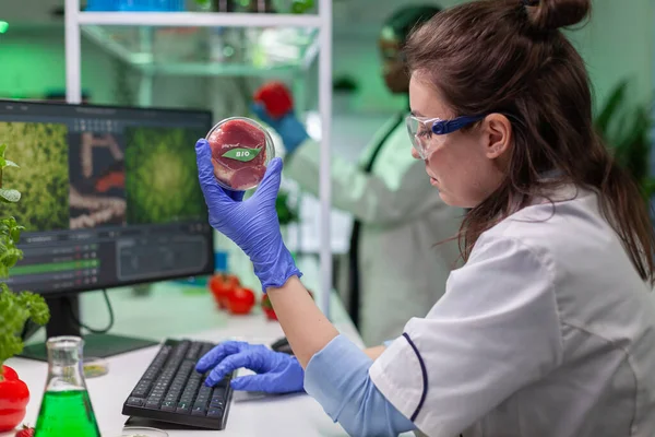 Mujer química analizando carne de res vegana para experimento bioquímico — Foto de Stock
