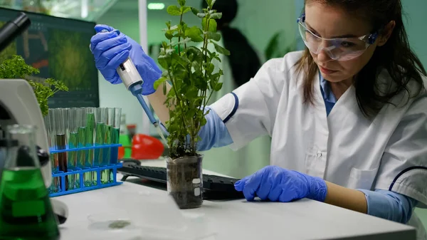 Bioquímico científico tomando líquido verde con micropieptte puttin en el retoño — Foto de Stock