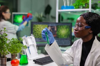 Afrikalı reseacher yeşil fidan DNA 'lı test tüpüne bakıyor.