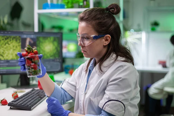 Investigador biólogo mirando fresas orgánicas examinando frutas — Foto de Stock