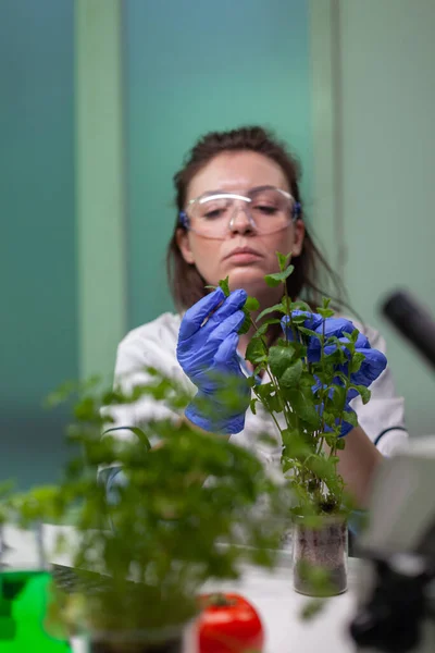 Botanist researcher woman examining green sapling observing genetic mutation — Stock Photo, Image