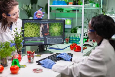 Tıbbi ekip vejetaryen etle petri kabını tartışıyor.