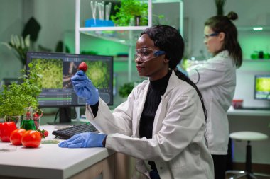 Kimyacı bilim adamı organik sıvı ile çilek bakıyor DNA testi