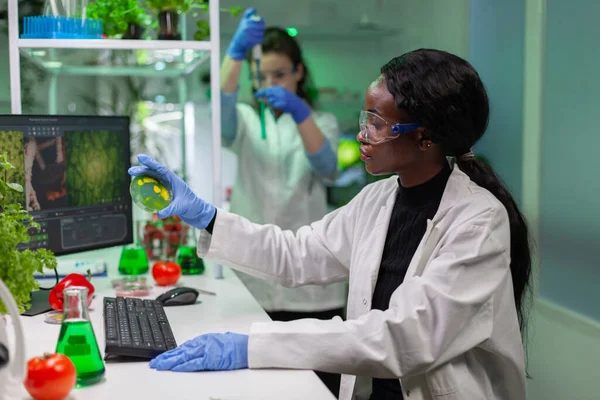 Un chercheur pharmaceutique africain analyse un test de solution dans une boîte de Pétri — Photo