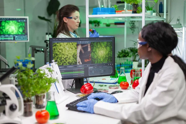 Scientist woman typing microbiology expertise on computer — Stock Photo, Image