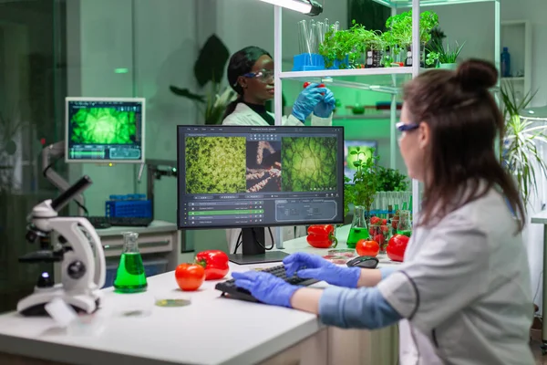 Scientist woman researcher typing biochemistry expertise on computer — Stock Photo, Image