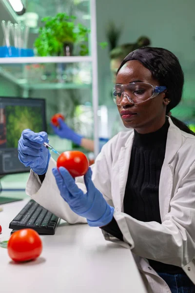 Bioquímico africano con guantes médicos inyectando tomate orgánico con pesticidas —  Fotos de Stock