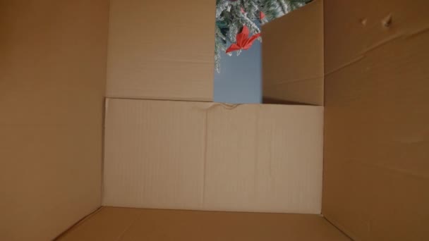 Giovane donna apertura regalo di Natale sotto l'albero — Video Stock