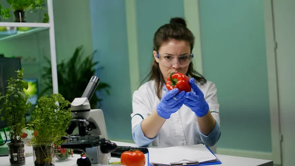 Biologiste femme examinant poivre écriture microbiologie expertise médicale — Photo
