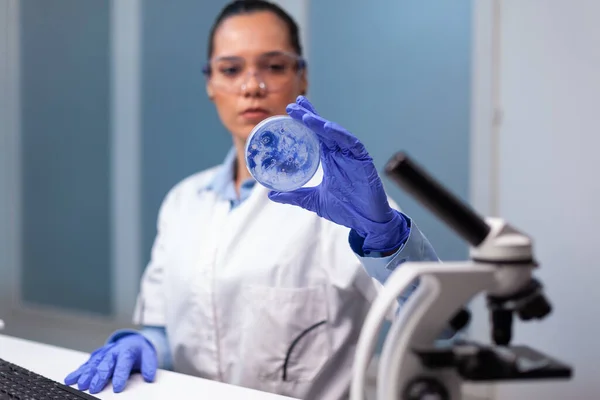 Científica mujer analizando placa petri con bacterias de microorganismos —  Fotos de Stock