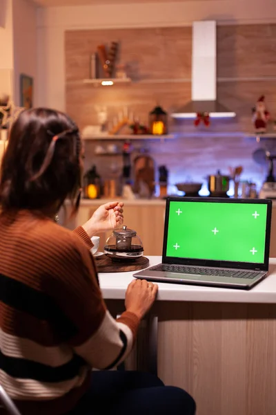Молодий дорослий пристрій для перегляду ноутбуків з зеленим екраном — стокове фото