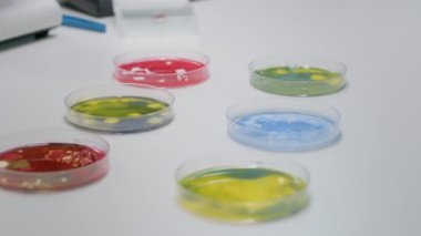 Biyolojik sıvıyla laboratuvar petri kabını kapat.