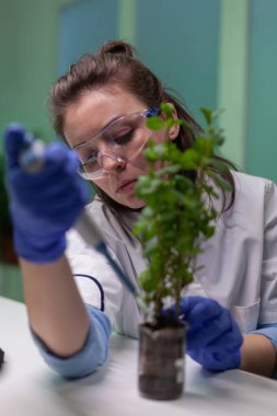 Mikro pipet kullanan biyolog araştırmacıyı kapatın. Genetik çözeltiyi test tüpüne koyun.