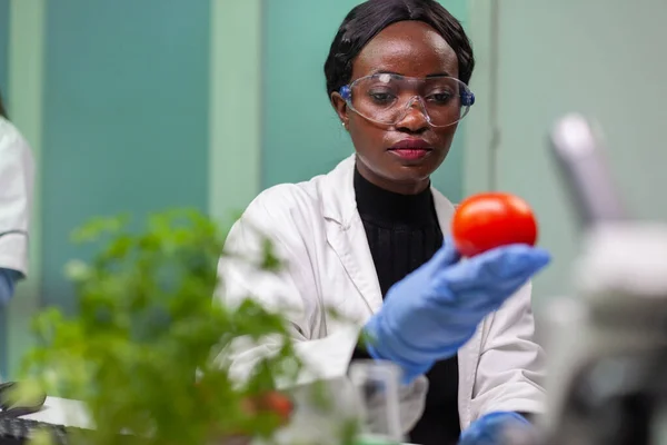 Vista frontal de la mujer investigadora bióloga analizando tomate inyectado con ADN químico —  Fotos de Stock