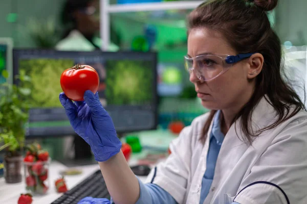 Vista frontal de la mujer investigadora bióloga analizando tomate inyectado con ADN químico —  Fotos de Stock