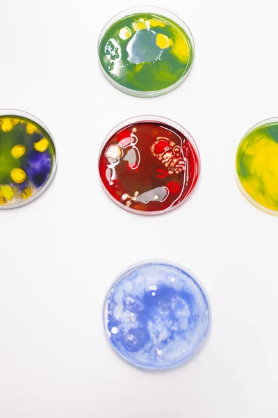 Misturado de colônia de bactérias em placa de Petri em pé sobre a mesa no laboratório biológico do hospital científico. — Fotografia de Stock