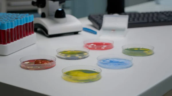 Наукова страва Петрі, що тримає речовину, наповнену бактеріями — стокове фото
