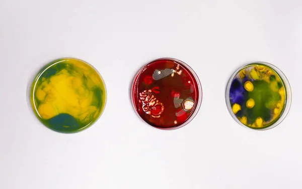 Närbild av petriskål på laboratoriet skrivbord på kliniken — Stockfoto