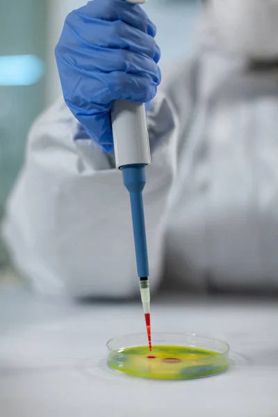 Крупный план исследователя-биолога женщина руки кладет кровь в чашку Петри — стоковое фото