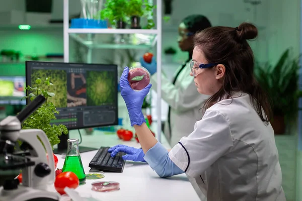 Chemist researcher holding petri dish with vegan meet during biological experiment — Stock Photo, Image