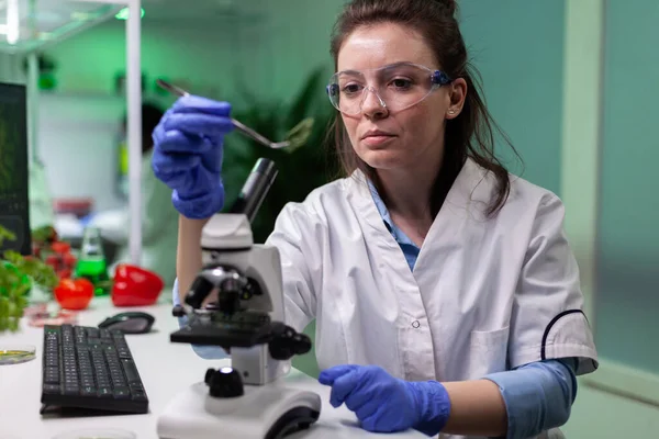 Biologist expert woman analyzing genetically modified leaf sample — Stock Photo, Image