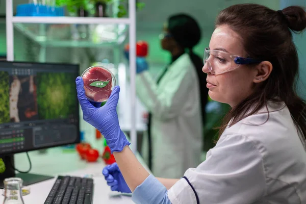 Médico químico que trabaja en experimento con alimentos modificados genéticamente —  Fotos de Stock