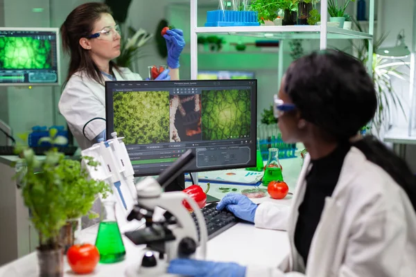 African american biologist scientist analyzing genetically modified plant — Stock Photo, Image