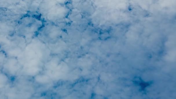 Timelapse of clouds on blue sky in summer day — Stock Video