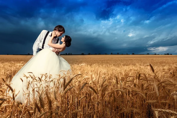 Młoda para ślub w polu pszenicy — Zdjęcie stockowe