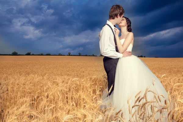 Casal jovem casal no campo de trigo — Fotografia de Stock