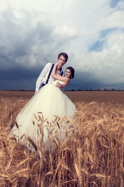 Güzel genç gelin ve damat buğday alanında