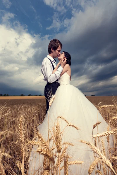 Beijar noiva e noivo recém-casados no campo de trigo — Fotografia de Stock