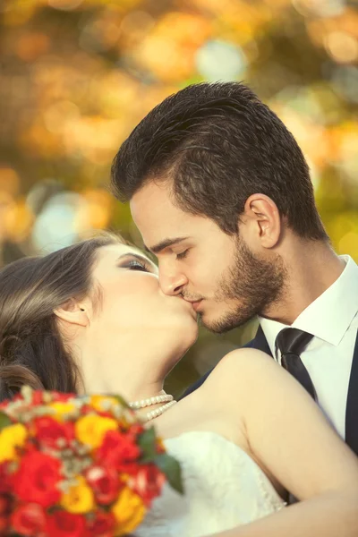 Just married couple kissing on blurred autumn background — Stok fotoğraf