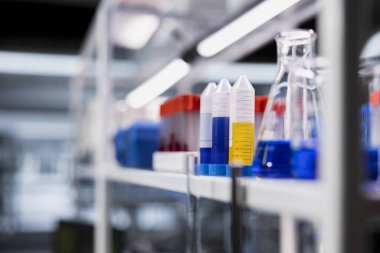 Laboratuar rafındaki bilimsel cam kaplama içinde renkli kimyasal çözümler. Şişelerdeki reaktifler, yüksek teknoloji araştırma merkezinde deneysel analiz için kullanılmaya hazır.