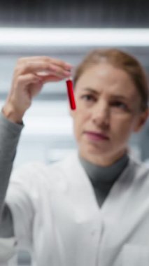 Hastalık araştırmaları klinik testleri için kan örneklerini analiz eden dikey video laboratuarı uzmanı. Laboratuvardaki kadın bilim adamı test için sanguin sıvısı şişeleri üzerinde araştırma yapıyor.