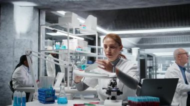 Mikrobiyolog bakteri kolonisinin büyümesini kontrol etmek için petri kabını ışığa doğru tutuyor. Kadın teknisyen, mikrop belirtileri için tarım levhası kültürünü inceliyor. Kamera A.