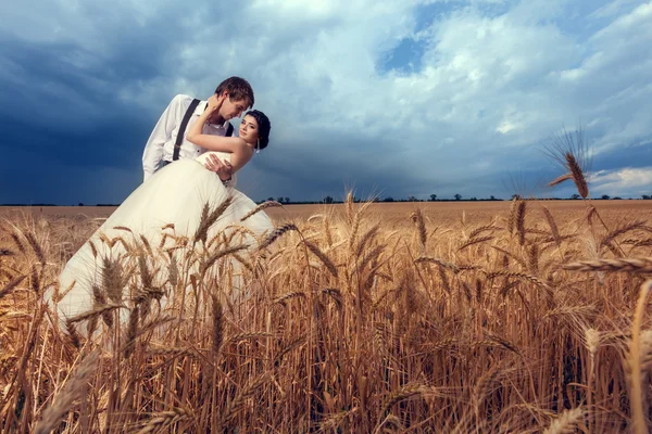 Bruden och brudgummen i vete fält med dramatisk himmel — Stockfoto