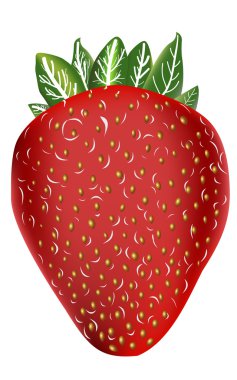 Beyaz arka plan üzerinde izole vektör çilek