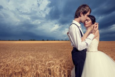 Sevgili gelin ve damat birbirine buğday alanında kucaklayan