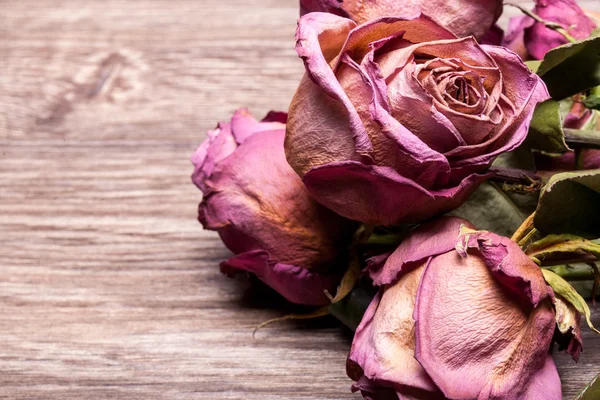 Tote Rosen auf historischem Holzgrund — Stockfoto