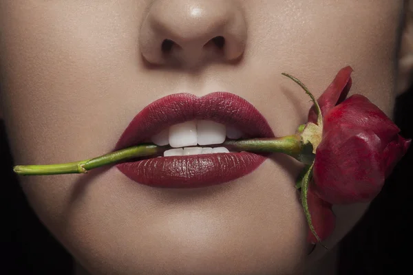 Rose in mouth in close up — Stock Photo, Image