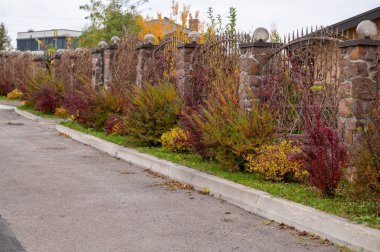 Geometrik çevre düzenlemelerinde her zaman yeşil çalılar