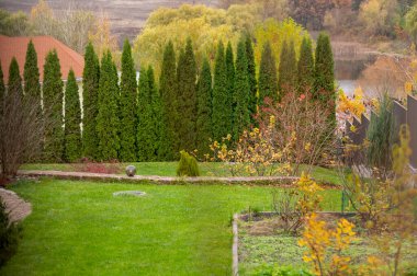 Çevre düzenlemelerinde geometrik çalılar her zaman yeşildir.