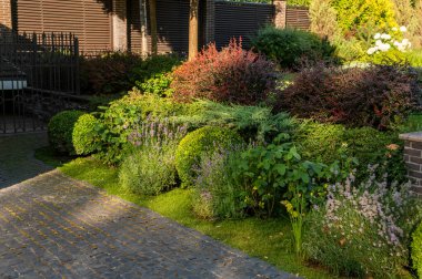Dekoratif manzara ağaçları ve granit bir yol boyunca uzanan çalılarla dolu özel bir arazinin peyzajı.